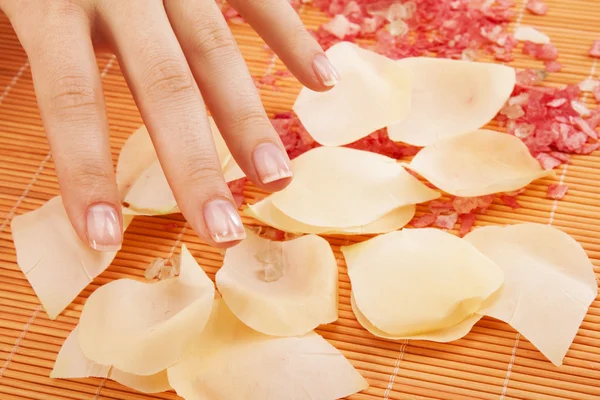 Nail treatment at spa — Stock Photo, Image