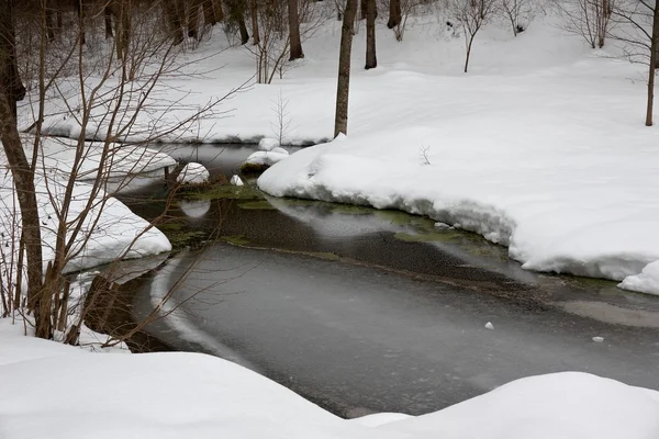 Fiume nella foresta invernale — Foto Stock