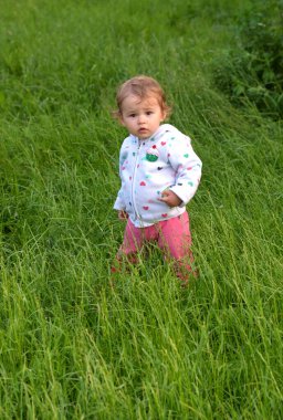 Çiçek tarlasında yürüyen emzik taşıyan küçük kız.