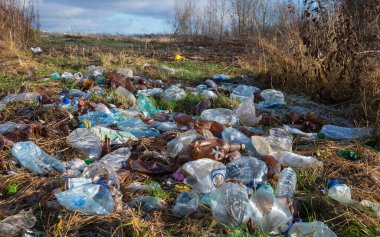 Şehrin dışındaki sonbahar tarlasına plastik şişe dök.