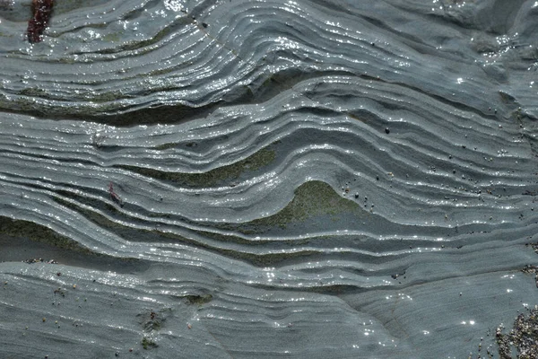 Oppervlakte Van Zeesteen Siltstone Als Achtergrond — Stockfoto