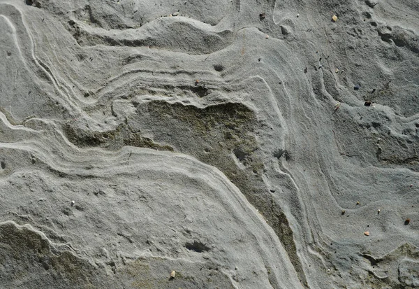 Povrch Mořského Kamene Bahnitý Jako Pozadí — Stock fotografie