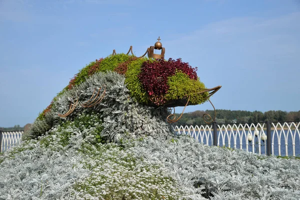 Flower arrangement in form of fish on Volzhskaya embankment, Rybinsk, Yaroslavl region, Russia — Stock Image Flower Arrangement Form Fish Volzhskaya Embankment Rybinsk Yaroslavl Region Russia Stock Image