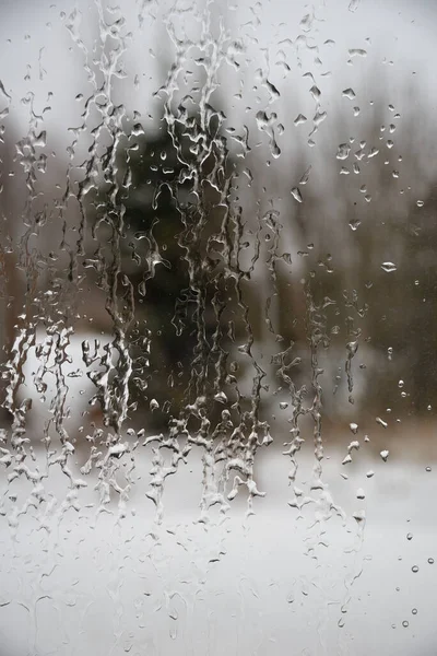 Blick Auf Fichte Durch Fenster Mit Eisigen Regentropfen — Stockfoto