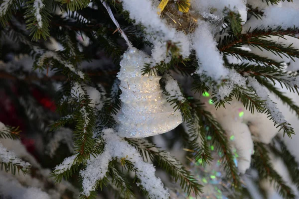 Witte Bel Besneeuwde Tak Van Kerstboom — Stockfoto