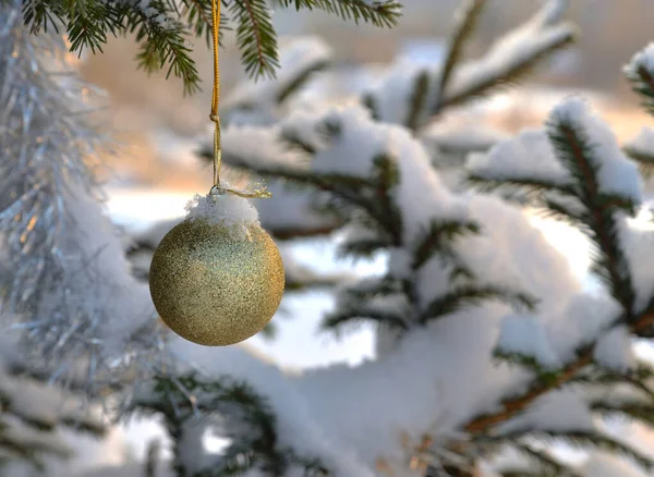 Pallina Vetro Dorato Sul Ramo Innevato Dell Albero Natale — Foto Stock