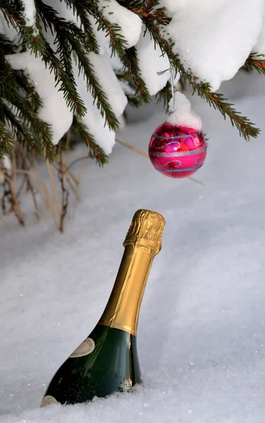 Bottiglia Champagne Nella Neve Palla Cremisi Sul Ramo Innevato Dell — Foto Stock