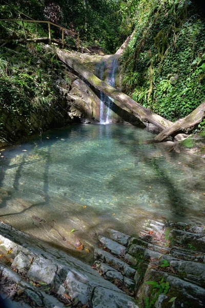 Soçi şehrinin Lazarevsky ilçesinde 33 şelale şelalesinde şelale, Dzhegosh yolu, Shakhe nehir vadisi, Sochi Ulusal Parkı, Rusya