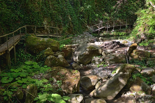 Soçi şehrinin Lazarevsky ilçesinde 33 şelale boyunca uzanan tahta patika, Dzhegosh yolu, Shakhe nehir vadisi, Sochi Ulusal Parkı, Kafkasya, Rusya