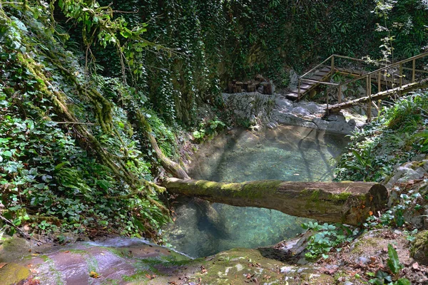 Soçi şehrinin Lazarevsky ilçesinde 33 şelale şelalesinde şelale, Dzhegosh yolu, Shakhe nehir vadisi, Sochi Ulusal Parkı, Rusya