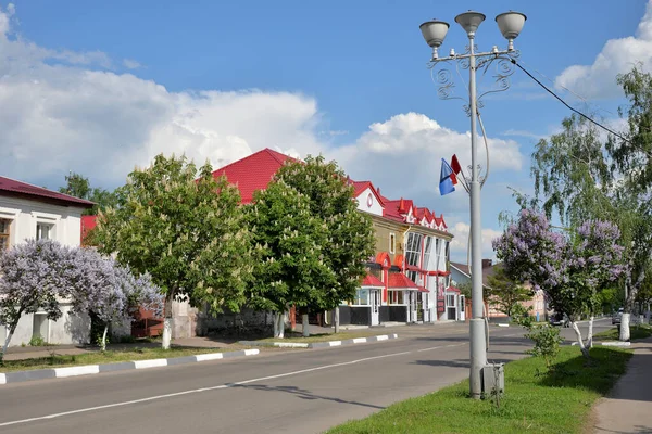 Pawlowsk Gebiet Woronesch Russland Mai 2016 Blühende Fliederbüsche Und Kastanien — Stockfoto