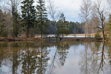 Bahar parkında ahşap köprülü alt gölet Abramtsevo Müzesi, Abramtsevo, Sergiev Posad kasabası, Moskova bölgesi, Rusya