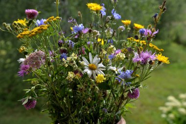 Bouquet of wild summer flowers in clay pot on terrace