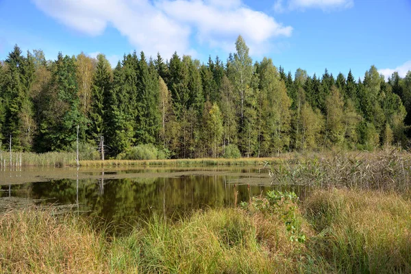 Forest Lake Sunny Autumn Day Moscow Region Russia — Stock Photo, Image