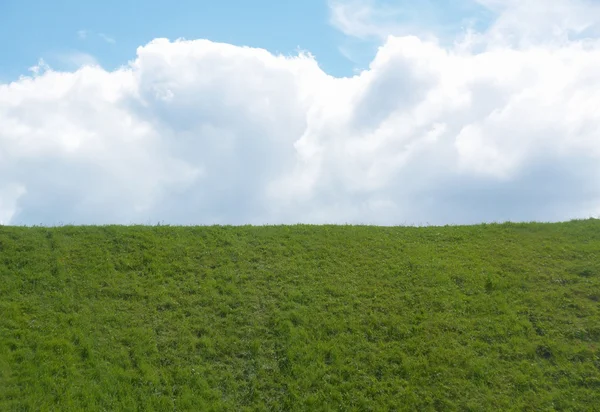 Yeşil çimenlerin üzerinde tepe bulutlu mavi gökyüzü ile