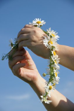 Papatya garland gökyüzü arka plan üzerinde elleriyle