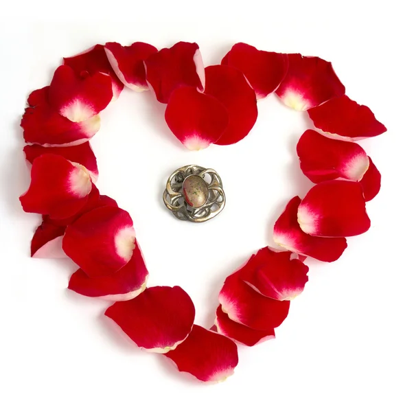 Rose petals heart — Stock Photo, Image