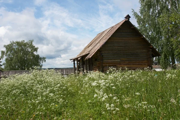 Старый деревянный амбар и летний луг — стоковое фото