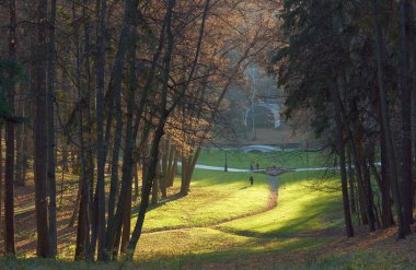 Yaya köprüler ve sonbahar park çimenli Arsa