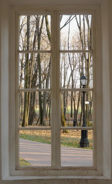 Höstens park med gatan lampa från fönstret — Stockfoto