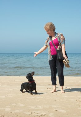 Yaşlı kadın ile Dachshund kumsalda oynarken