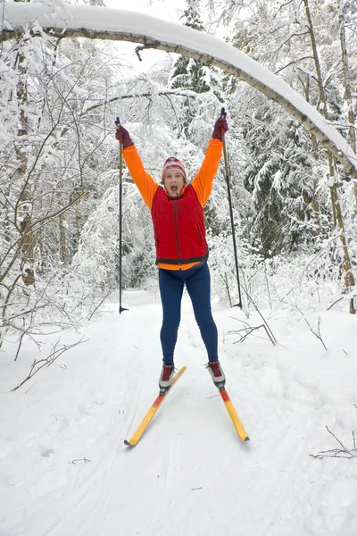 Woman cross country skier in forest — Stock Photo, Image