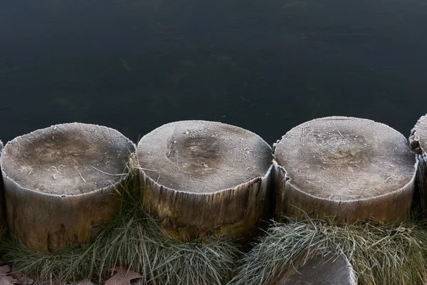 Frost op palen in de buurt van lake — Stockfoto