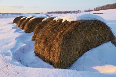 Kış günü karlı alanda haystacks