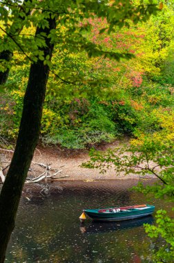 Mannheim, Almanya. 4 Ekim 2009. 