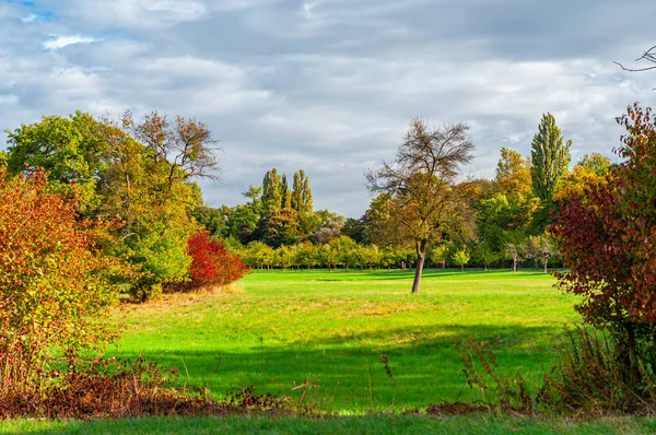 Mannheim Alemania Octubre 2009 Paisaje Otoñal Reserva Natural Reissinsel Cerca —  Fotos de Stock