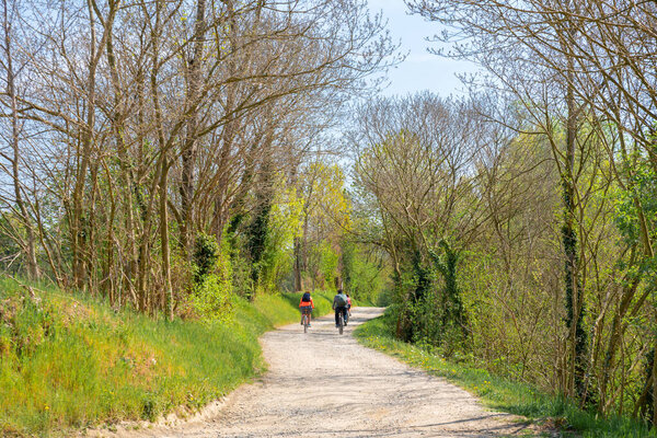 Collegno, Italy. April 5th, 2021. Dora Riparia Park. Along a park road, a family rides a bike through the trees on a spring day.