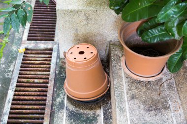 jardiniere