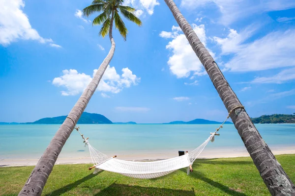 Palmeras de coco y el mar — Foto de Stock