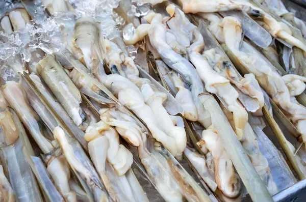 Fresh razor shell on ice at the seafood booth — Stock Photo, Image