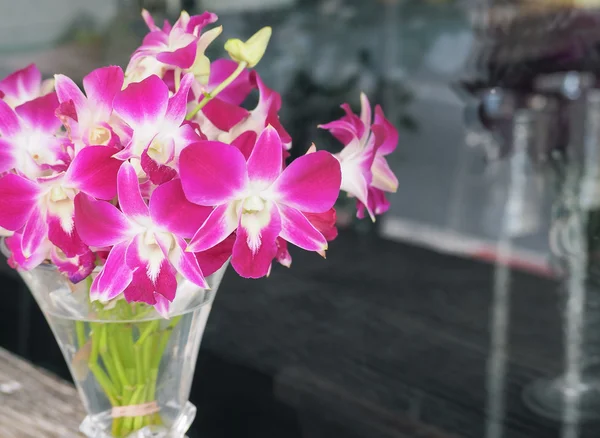 Orquídea rosa e roxa em um vaso de vidro — Fotografia de Stock