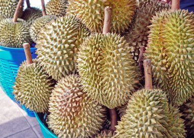 Durians yığını 