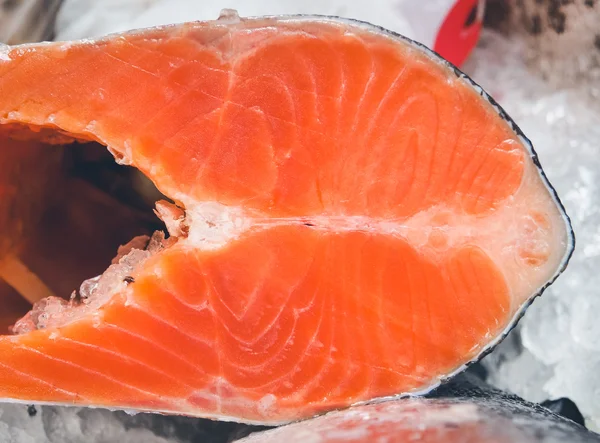Salmone fresco nel mercato dei frutti di mare — Foto Stock