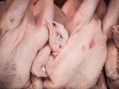 Taze tavuk pazarda, Bangkok, Tayland