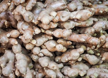 Zencefil kökü arka plan