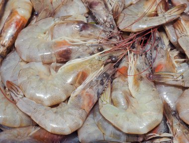 Çiğ beyaz karides, gıda resim