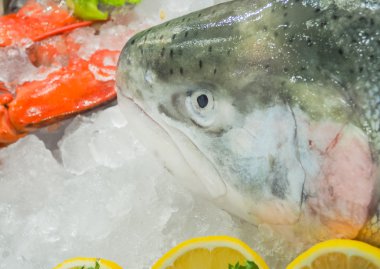 Buz üzerinde taze somon süpermarkette satmak