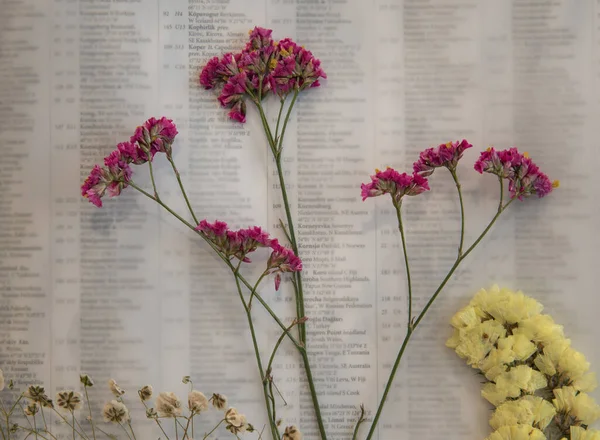 Vackra Torkade Blommor För Dekoration Placeras Vax Papper — Stockfoto