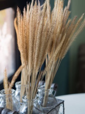 Güneş ışığında cam bir kavanozda süslü saman sapları..