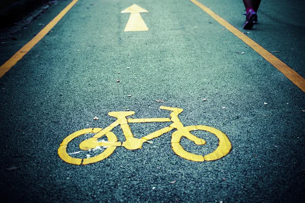 Carril bici, camino para bicicletas. carril bici vacío en un parque — Foto de Stock