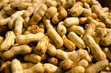 Ahşap tepsi zemin üzerine haşlanmış fıstık