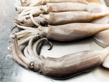 Deniz ürünleri piyasada taze kalamar