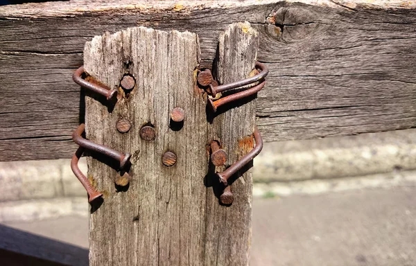 Nails in wood