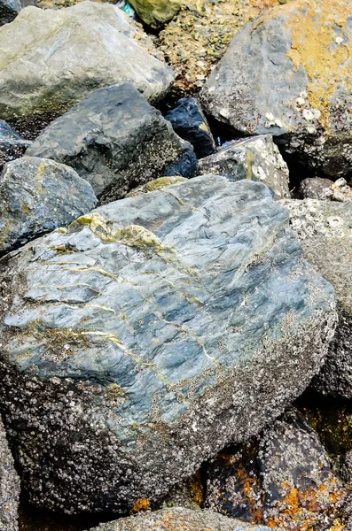 海の石の背景 — ストック写真
