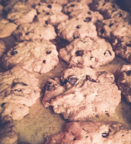 Chocolade chip cookies. selectieve aandacht — Stockfoto