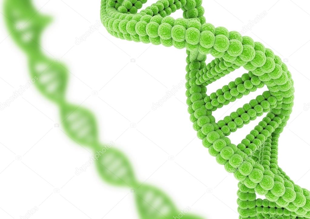 Green DNA isolated on a white background. Stock Photo by ©photo5963  112046492